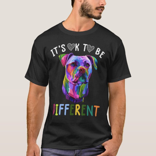 Autism Acceptans Det är Ok Att Vara Annorlunda Pit T Shirt (Framsida)