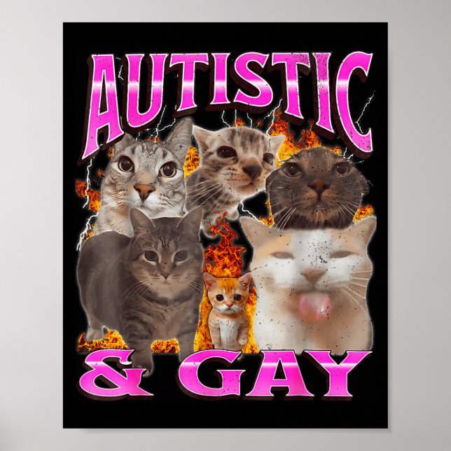 Autistic And Gay Funny Cat Meme Bootleg Graphic  Poster (Framsidan)