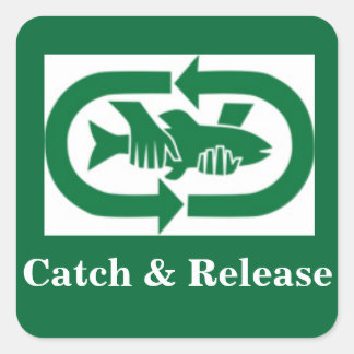 Autocollant "Catch & Release" Fyrkantigt Klistermärke
