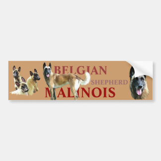 autocollant pour voiture belgian shepherd malinois bildekal