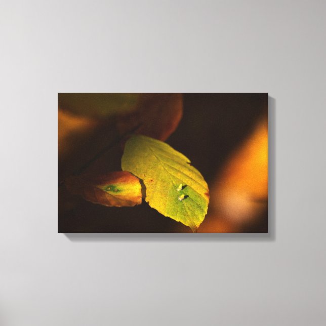 Automatisk Canvastryck (Framsida)