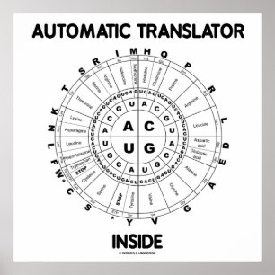 Automatisk översättare insida (RNA Codon Wheel) Poster