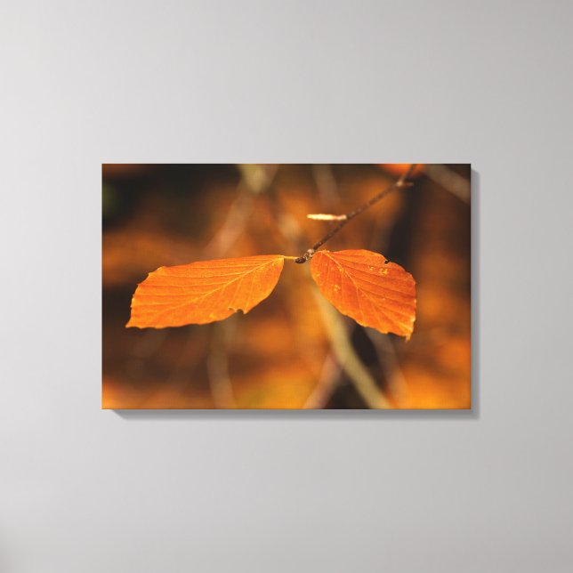 Automatisk scen canvastryck (Framsida)