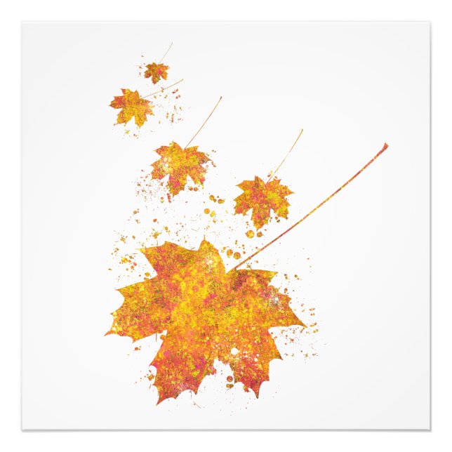 Automne Feuille Forêt Sauvage Nature Monde Terre V Fototryck (Framsidan)