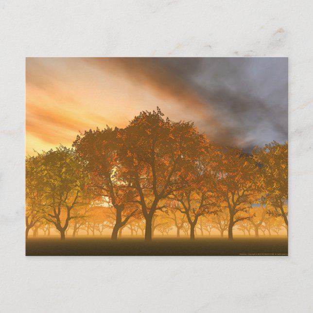 Automne Vykort (Framsida)