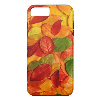 autum