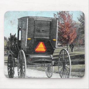 Autumn Amish Buggy Musmatta