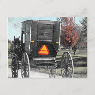 Autumn Amish Buggy Vykort