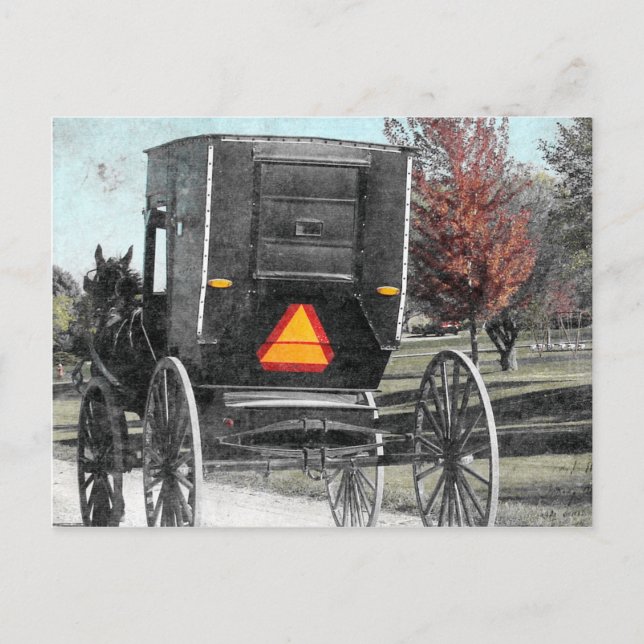 Autumn Amish Buggy Vykort (Framsida)