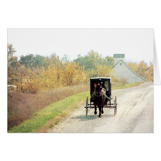 Autumn Amish Horse and Buggy Hälsningskort (Framsidan Horizontal)