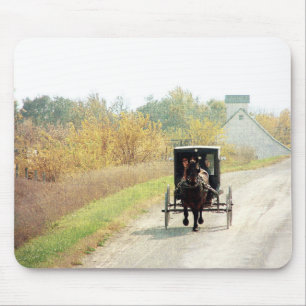 Autumn Amish Horse and Buggy Musmatta