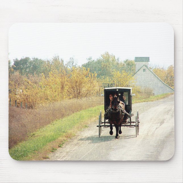 Autumn Amish Horse and Buggy Musmatta (Framsidan)
