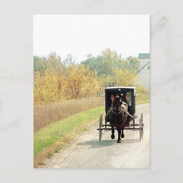 Autumn Amish Horse and Buggy Vykort (Framsida)