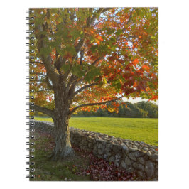 Autumn at Stone Wall Spiral Notebook Anteckningsbok