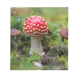 Autumn Beauty Anteckningsblock
