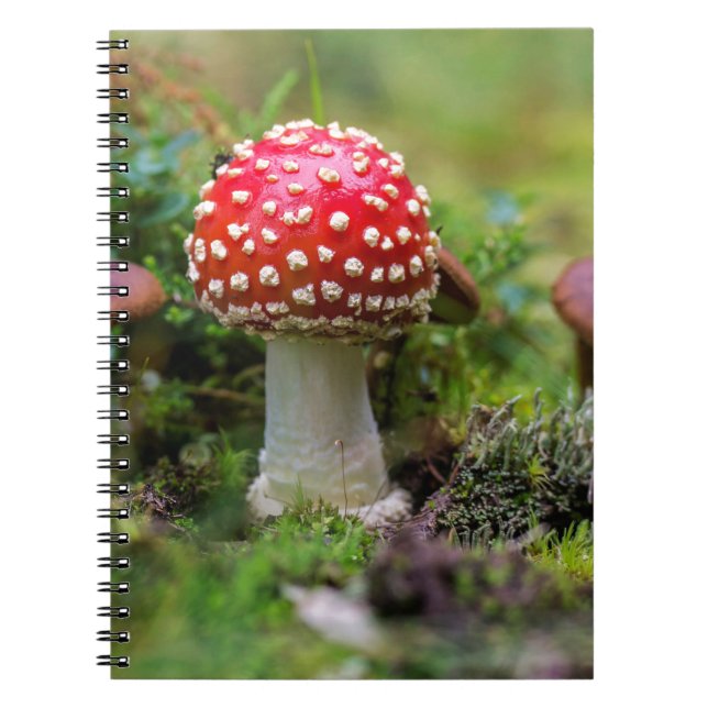 Autumn Beauty Anteckningsbok (Framsidan)