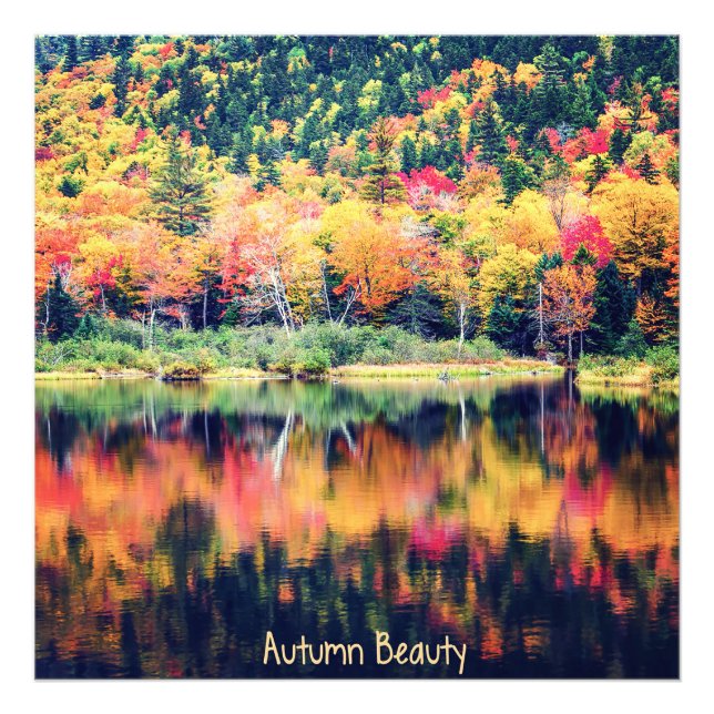 Autumn Beauty Fototryck (Framsidan)