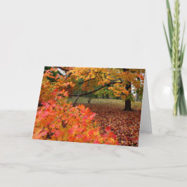 Autumn Beauty Helgkort