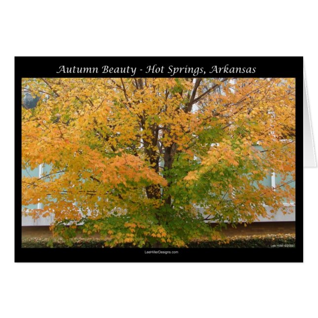 Autumn Beauty Hett Vår, Arkansas Apparel Gifts Hälsningskort (Framsidan Horizontal)