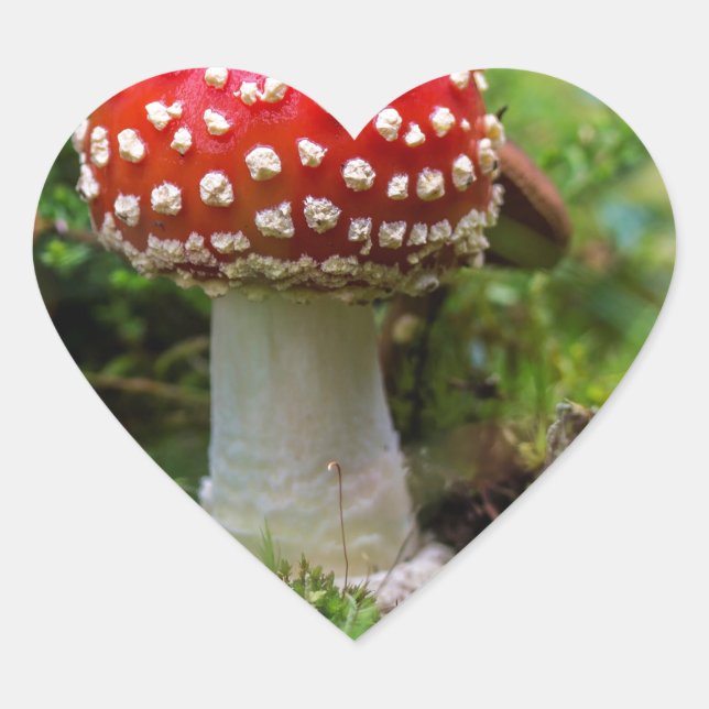 Autumn Beauty Hjärtformat Klistermärke (Framsida)