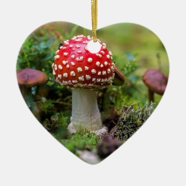 Autumn Beauty Julgransprydnad Keramik (Framsidan)