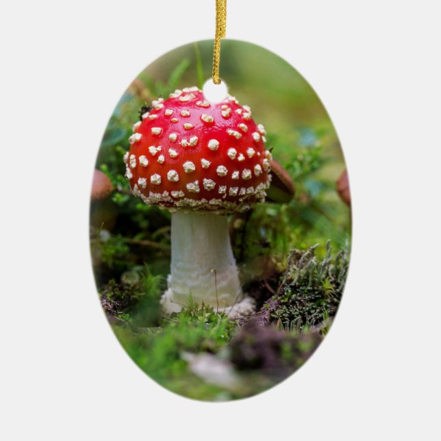 Autumn Beauty Julgransprydnad Keramik (Framsidan)