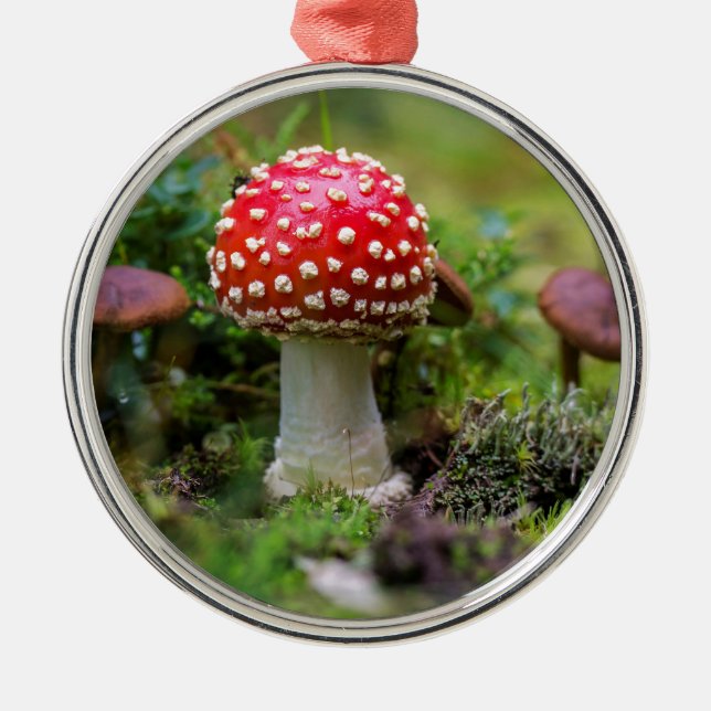 Autumn Beauty Julgransprydnad Metall (Framsidan)