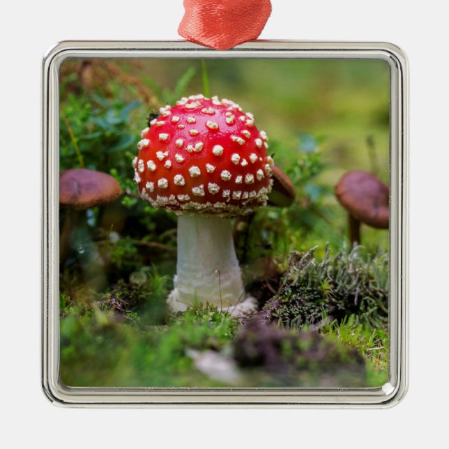 Autumn Beauty Julgransprydnad Metall (Framsidan)