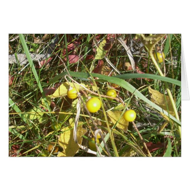 Autumn Berries Hälsningskort (Framsidan Horizontal)