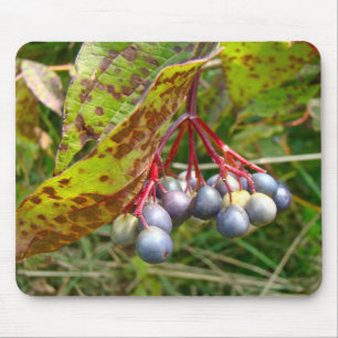 Autumn Berries Musmatta