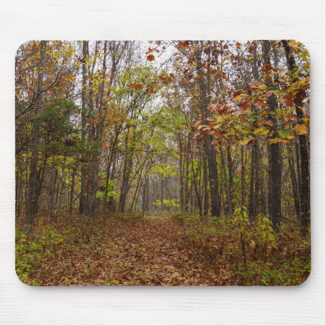Autumn Bliss Musmatta (Framsidan)