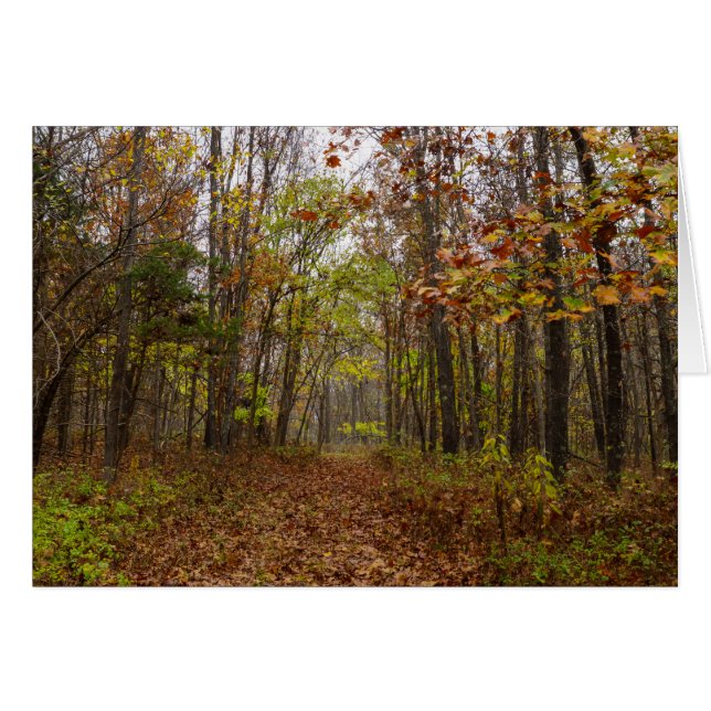 Autumn Bliss OBS Kort (Framsidan Horizontal)