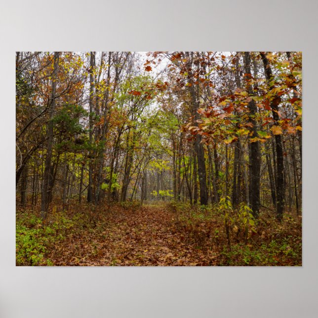 Autumn Bliss Poster (Framsidan)