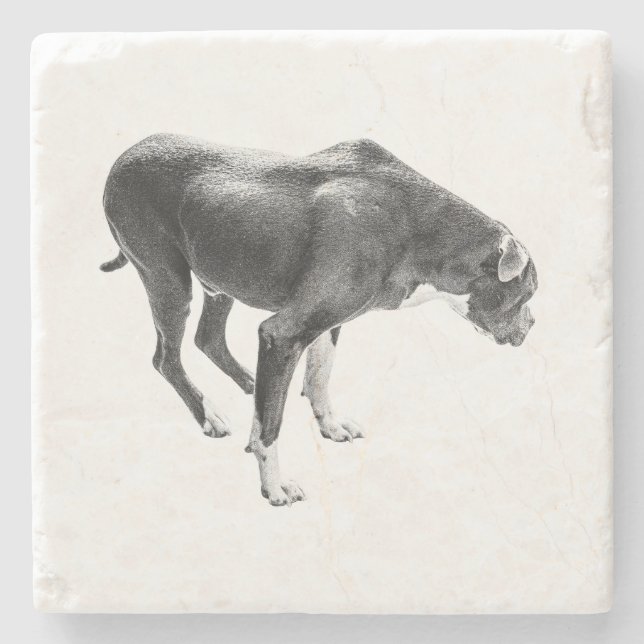 Autumn Bord Guardian Stenunderlägg (Framsidan)