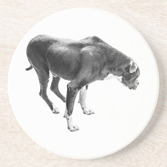 Autumn Bord Guardian Underlägg (Framsidan)