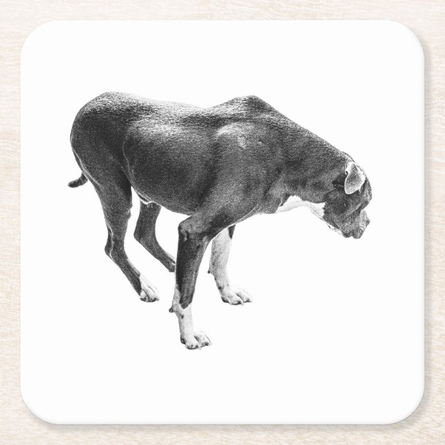 Autumn Bord Guardian Underlägg Papper Kvadrat (Framsidan)