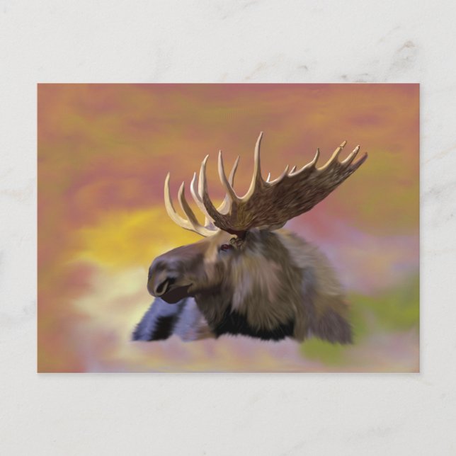 Autumn Bull Moose Vykort (Framsida)