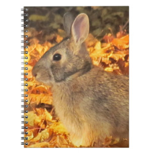 Autumn Bunny Anteckningsbok Med Spiral
