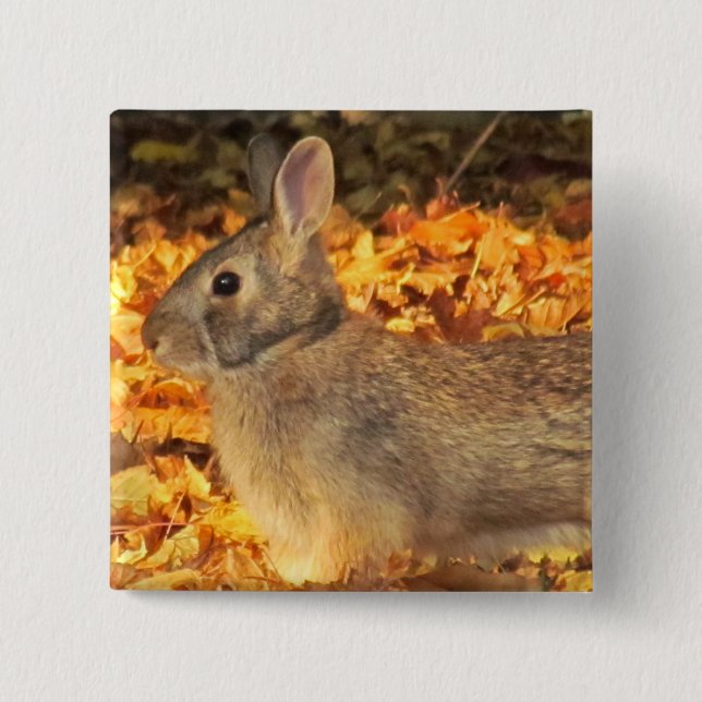 Autumn Bunny Knapp (Framsida)
