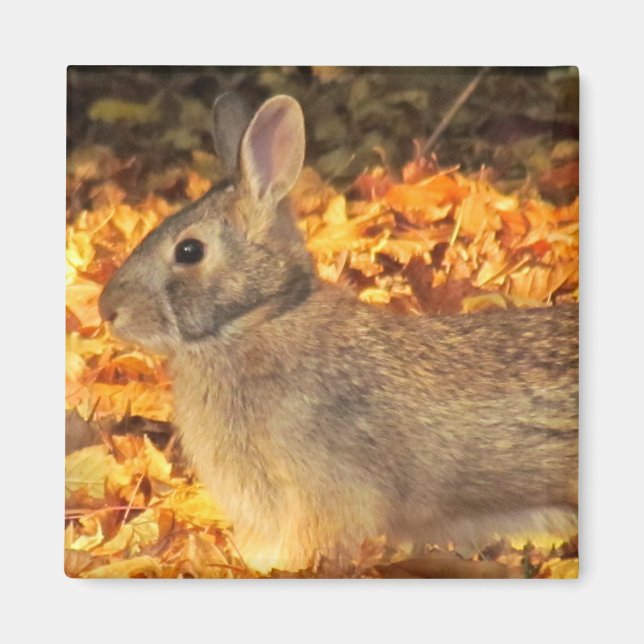 Autumn Bunny Magnet (Framsidan)
