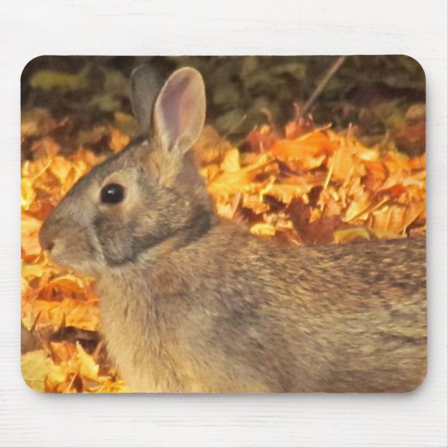 Autumn Bunny Musmatta (Framsidan)