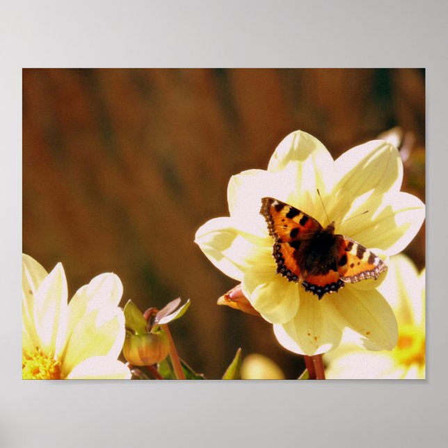 Autumn Butterfly Poster (Framsidan)
