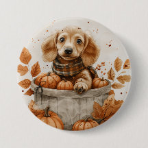 Autumn Dachshund Hundar Pumpkin