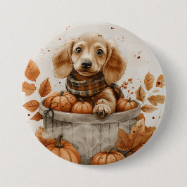 Autumn Dachshund Hundar Pumpkin Knapp
