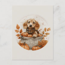 Autumn Dachshund Hundar Pumpkin