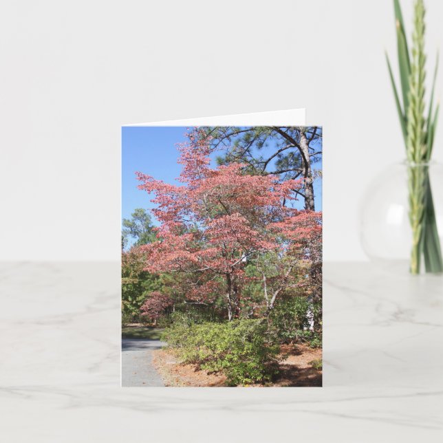 AUTUMN DOGWOOD KORT (Framsida)