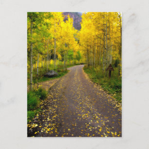 Autumn Dream Vykort