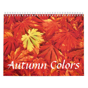 Autumn Färg Calendar Kalender
