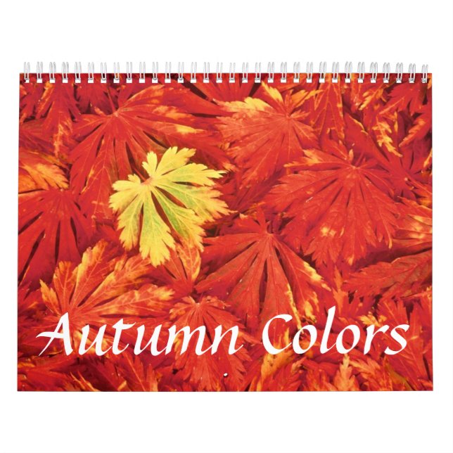 Autumn Färg Calendar Kalender (Omslag)
