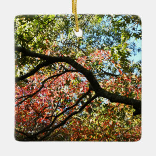 Autumn Färg Ornament